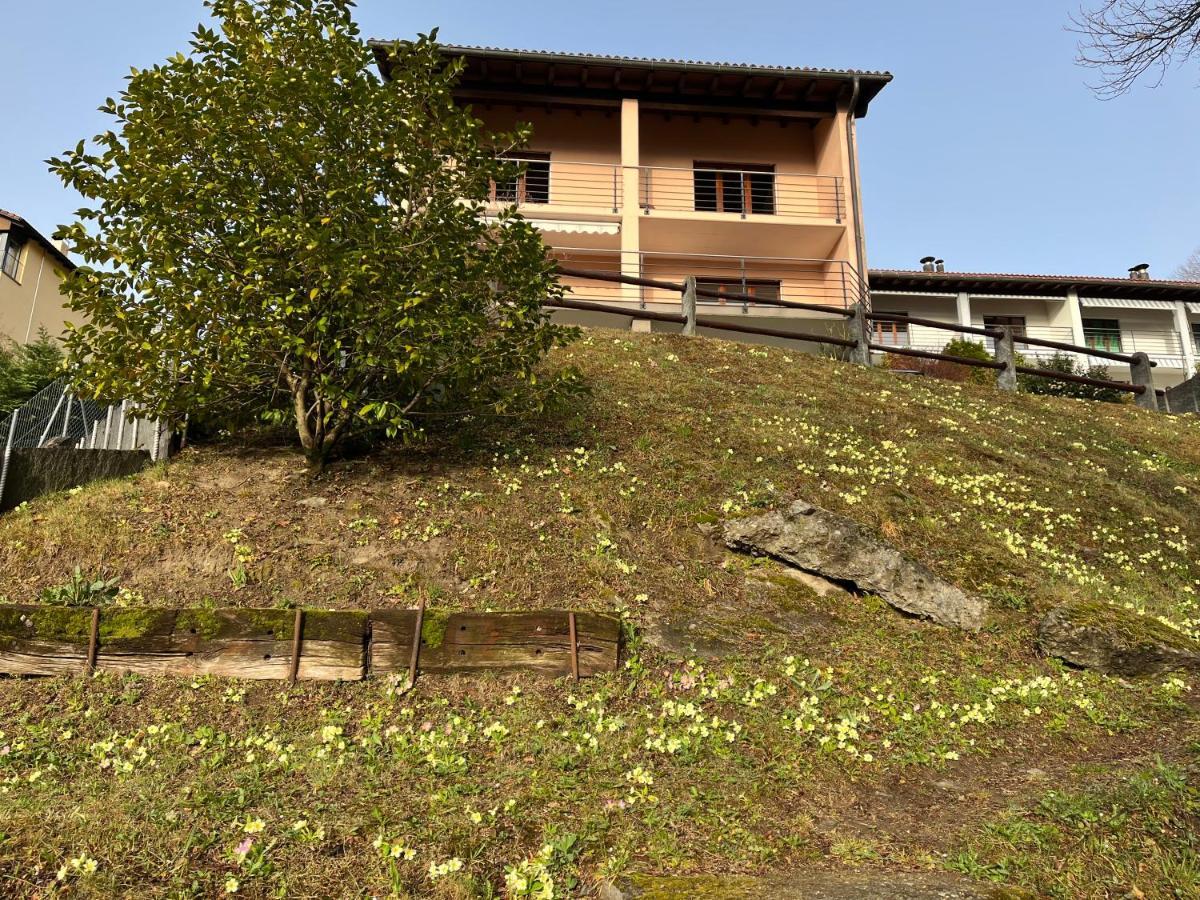 Green View Apartments Tenero-Contra Exterior photo
